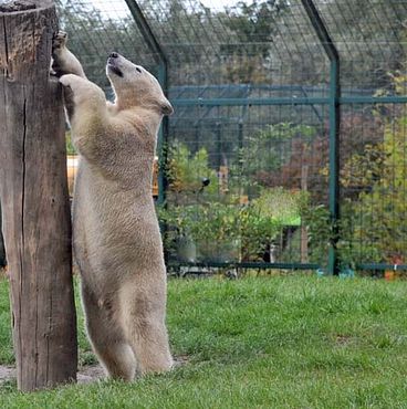 70951748_2864624706900293_3186794196656717824_n