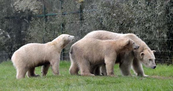 71182373_2867031359992961_4777233355303288832_o