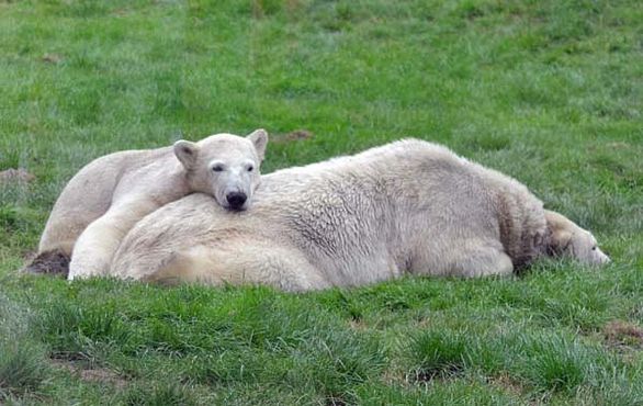 71296593_2848891581806939_2515165262655782912_o