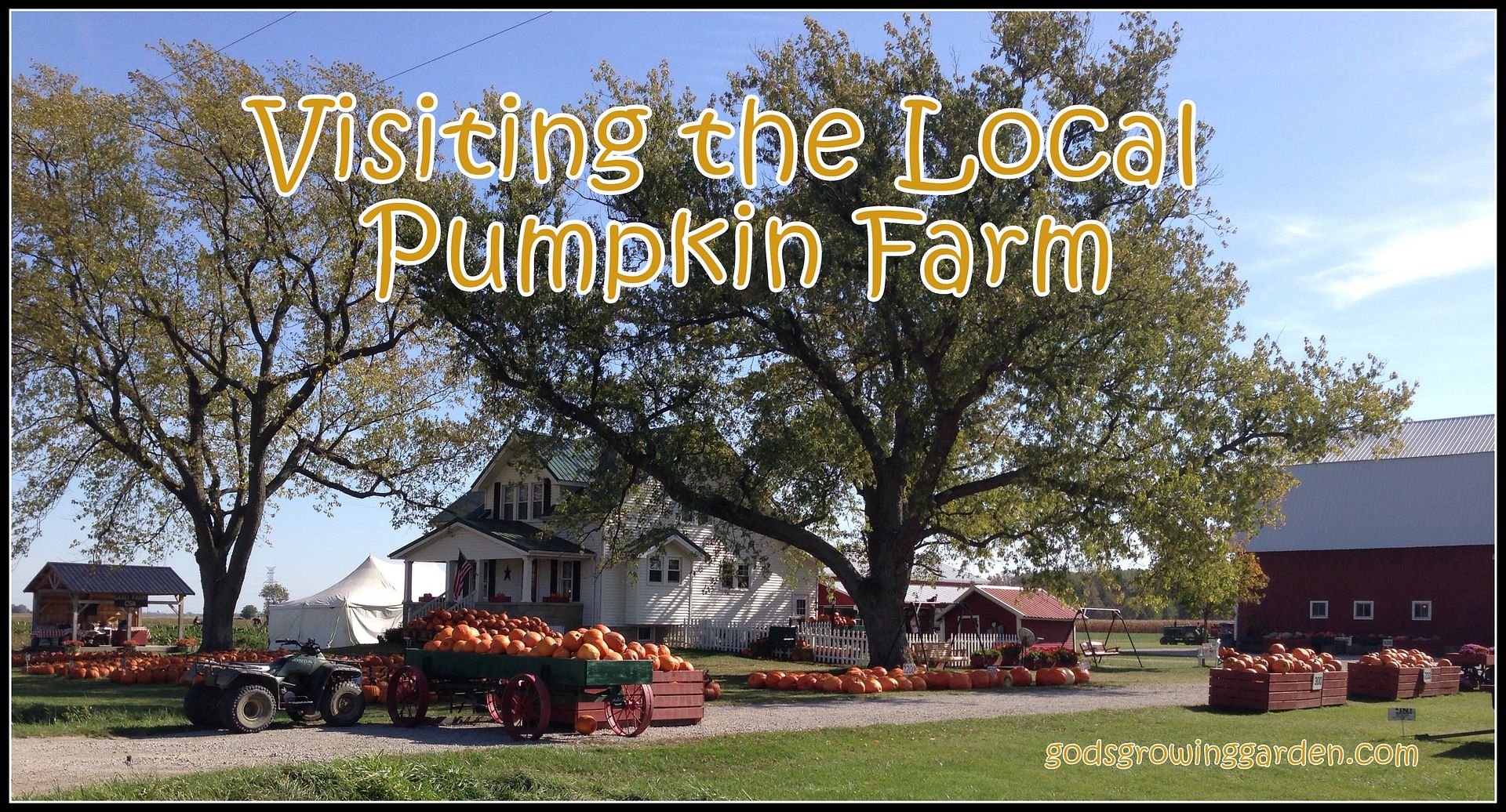 by Angie Ouellette-Tower for http://www.godsgrowinggarden.com/