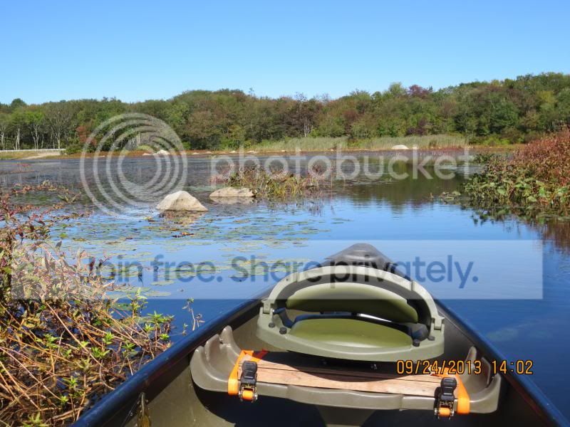 IMG_0150_zps5200d557.jpg