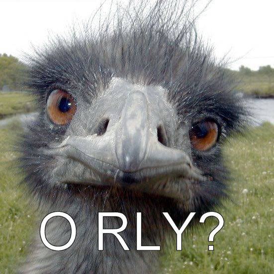 orly-ostrich.jpg