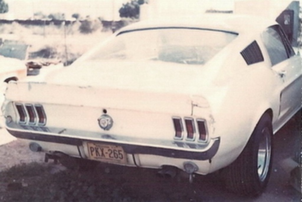 [Image: Richards1967Mustangfastback-427car3.png?...fit=bounds]