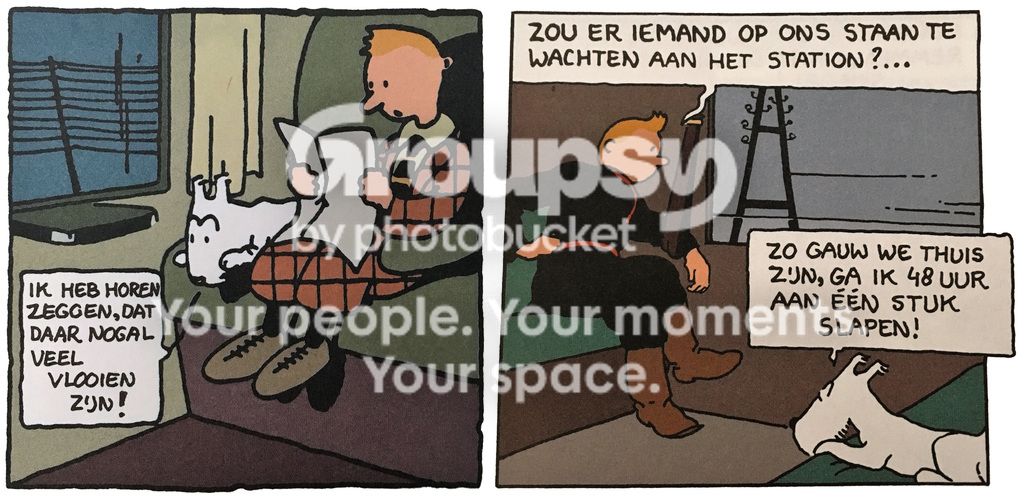 Kuifje