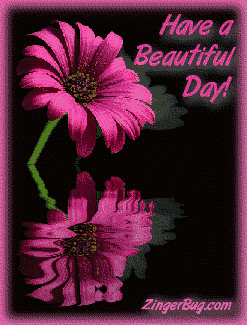 beautiful_day_reflecting_flower_zps48cb3d04