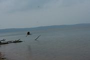 20090912_1917