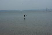 20090912_1918