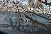IMG_6618_zpsa8757afa