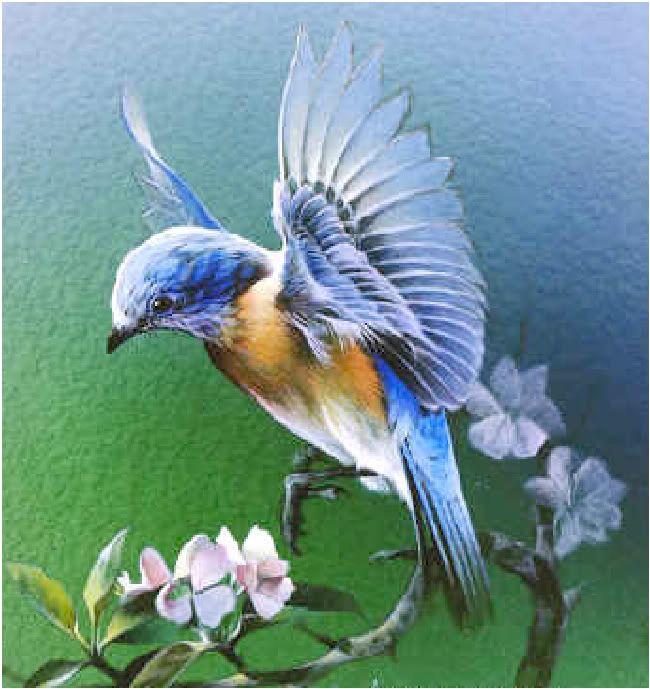 Bluebird 'n Flowers