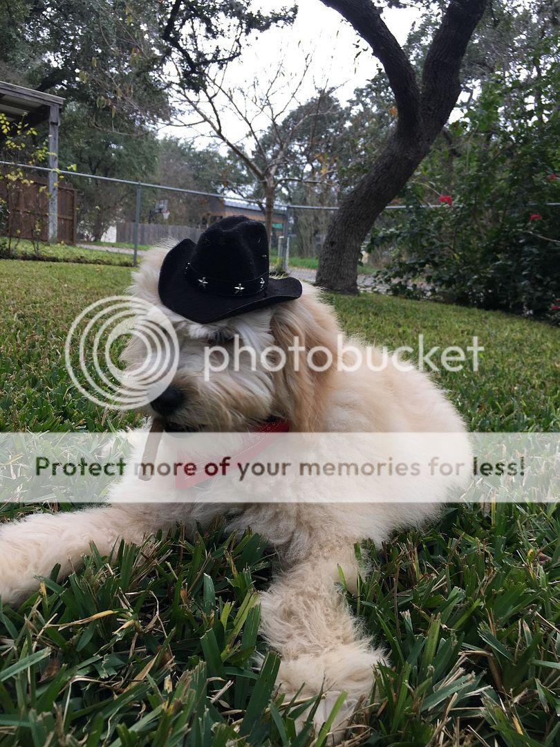 AMERICALOC GPS Tracker. GL300 MXW Series. Advanced Mini Personal and