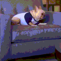 75738eb3-2bd3-4309-b23a-731c11a1b876.gif