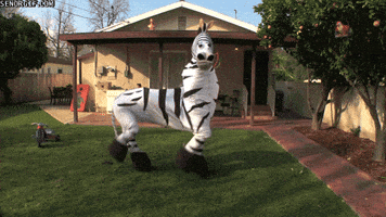 eb701f47-f5a7-460d-8bab-37867baa6809.gif