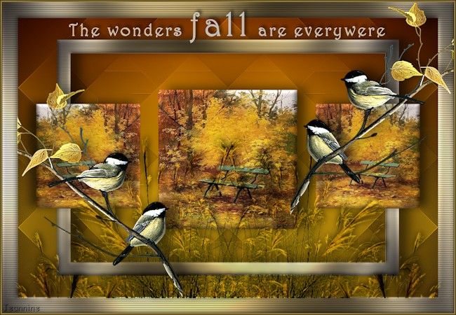 The wonders fall are everywere