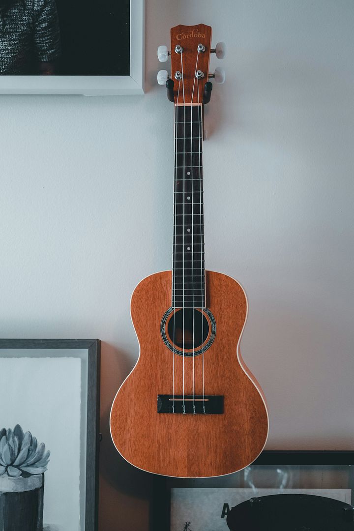 Ukulele Baritone