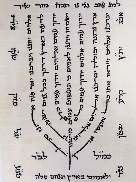 8f173373-da34-466a-a9c1-2021701729e1