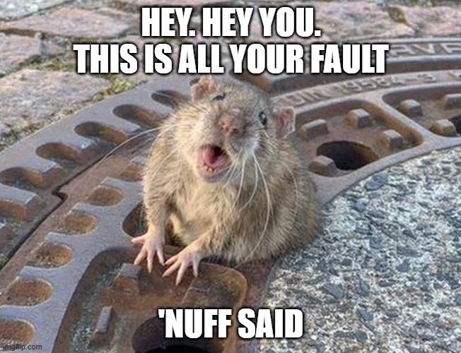 A Growing Rat Problem Is Probably Your Fault » Pirate's Cove