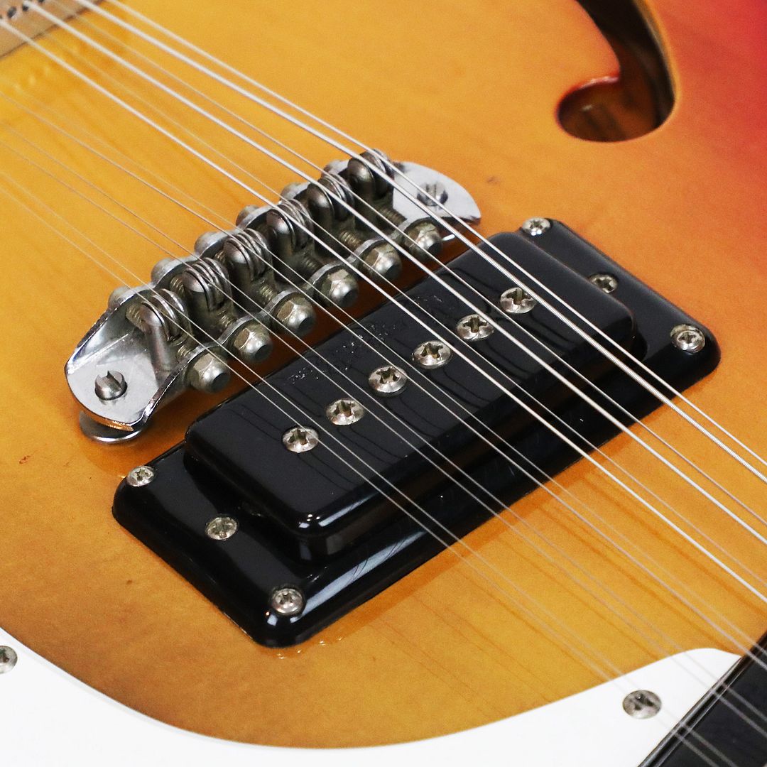 1966 Mosrite Combo MK XII Mark 12 String Vintage Semi Hollowbody