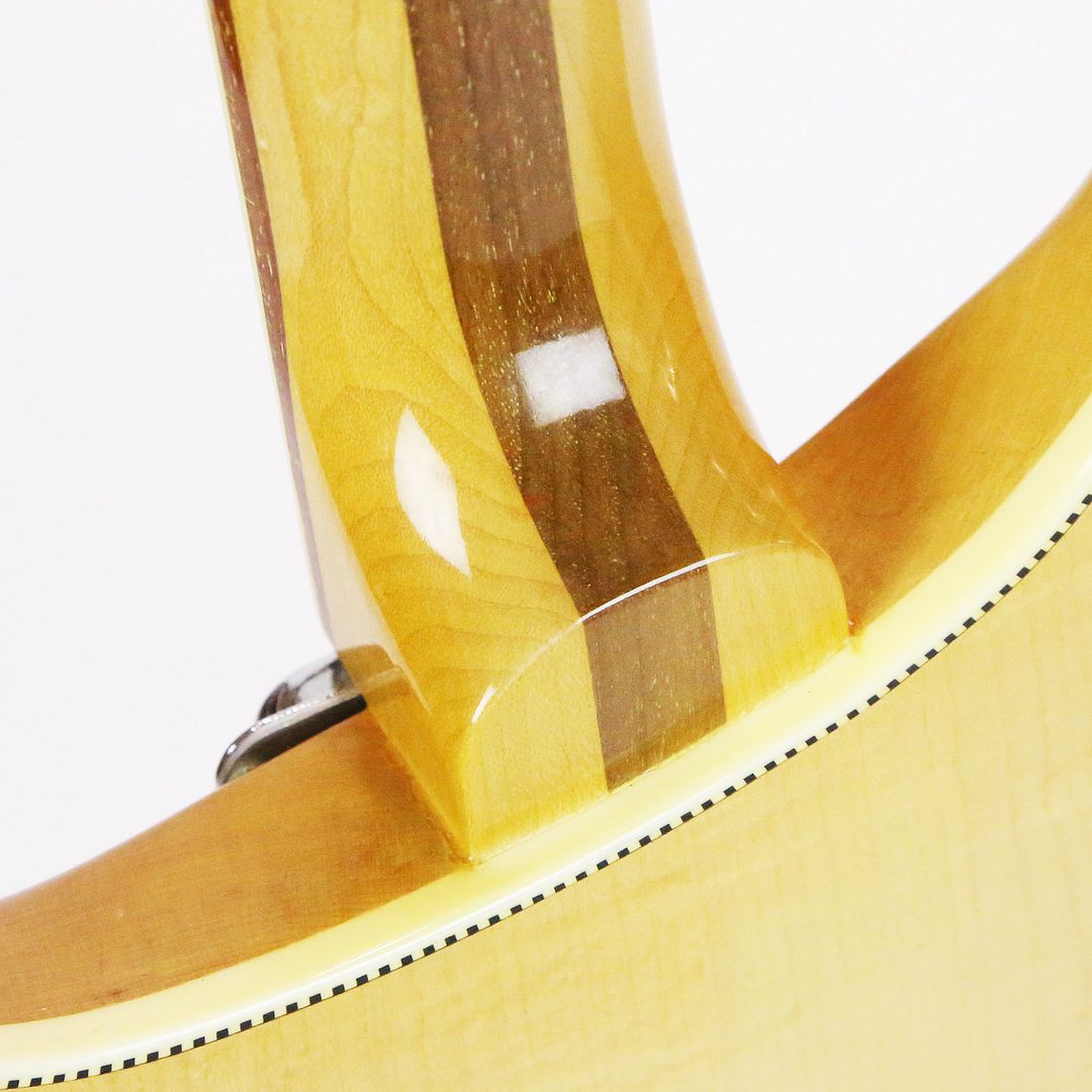 1966-Rickenbacker-365-FI3208-46