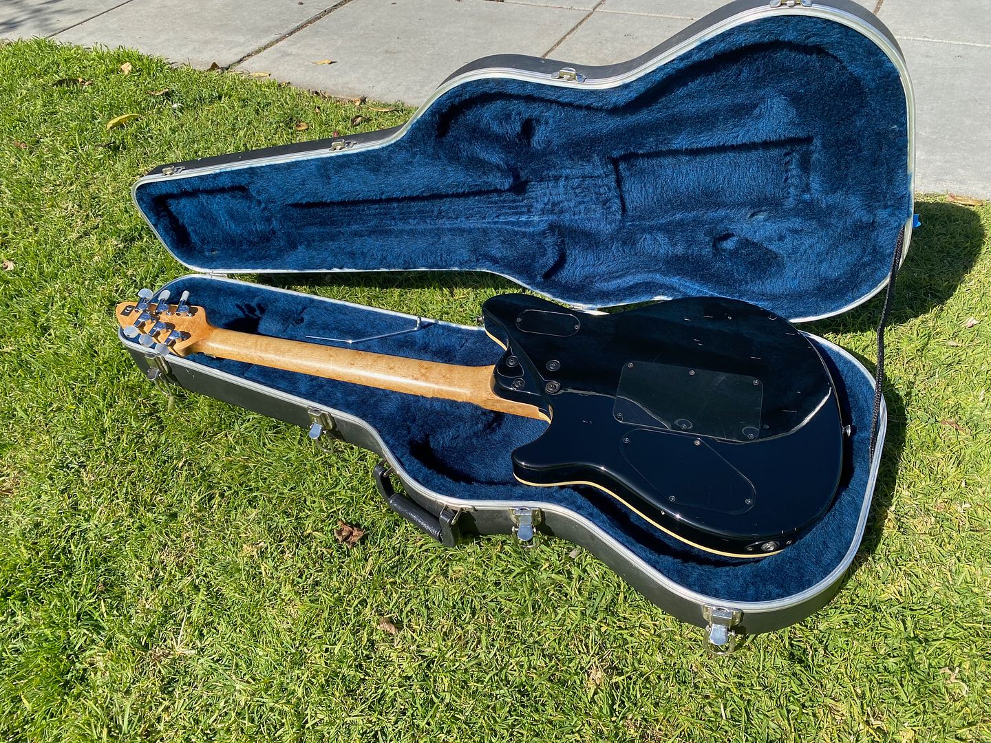 Peavey Wolfgang Case for sale | eBay