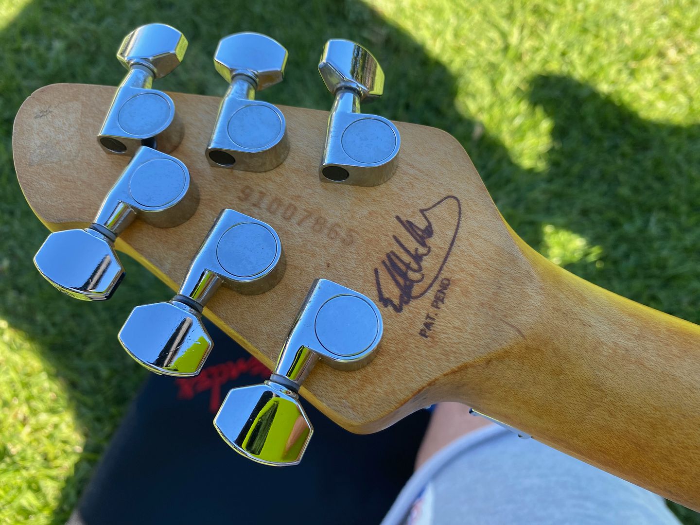ギター Peavey USA Wolfgang Standard Pad Pend s-l400.jpg