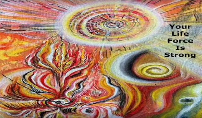 Screenshot 2026-01-12 at 11.45.39 AM