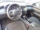 Picture 002