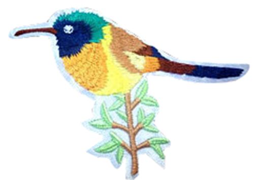 Featured Image