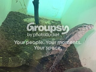 6c011e66-1297-4a1f-a3d8-5bd2c3f88c15.jpeg