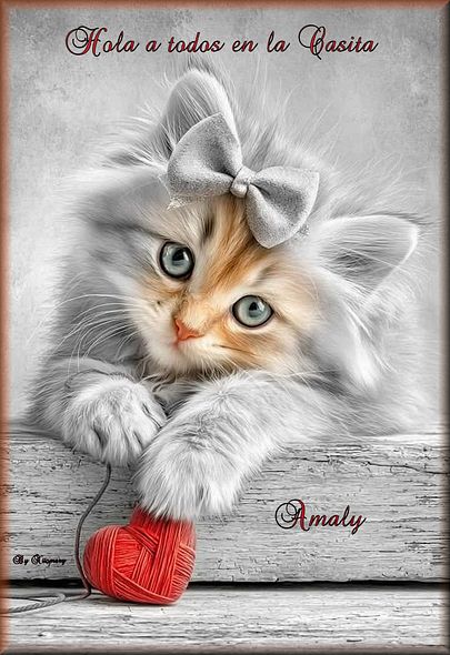 64e923da-1dc0-44a4-bb8f-2def2637ef84