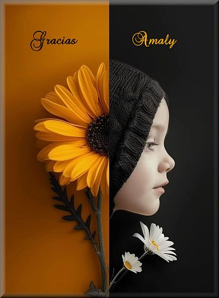 f05306ae-c640-47f0-8a21-b6085bbaa4d5