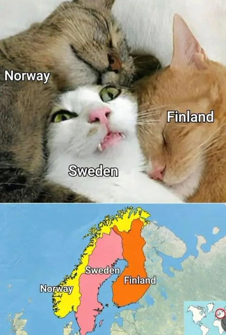 norway-sweden-norway-sweden-finland-finland