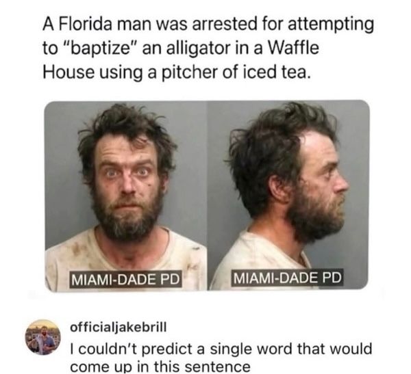 alligator
