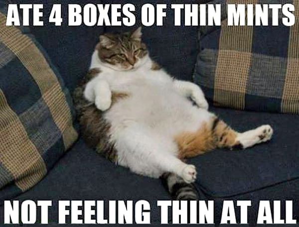 thin