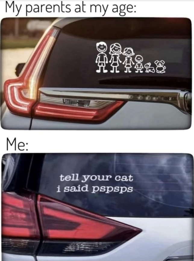 tell-cat-said-pspsps