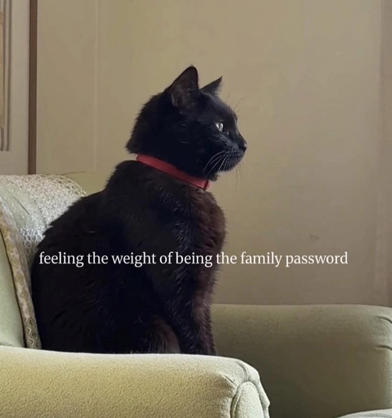 feeling-weight-being-family-password