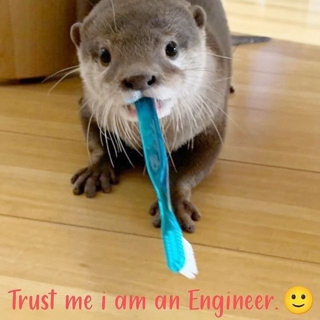 trust-am-an-engineer