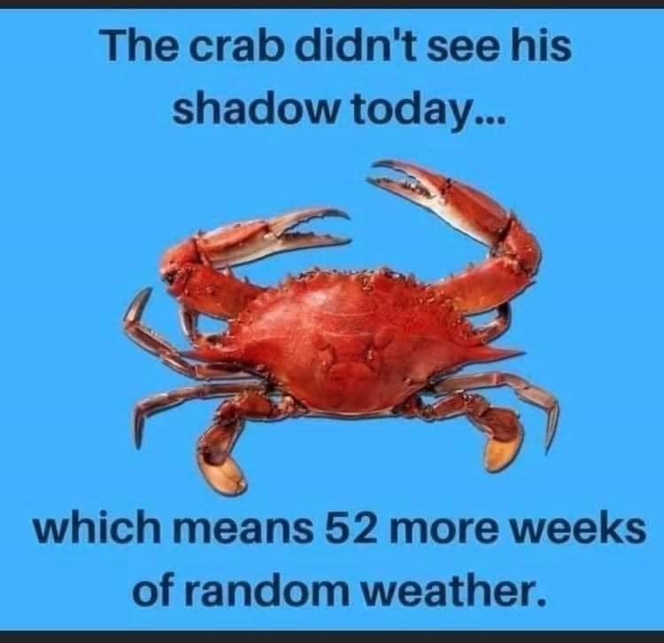 crab-crab-didnt-see-his-shadow-today-which-means-52-more-weeks-random-weather