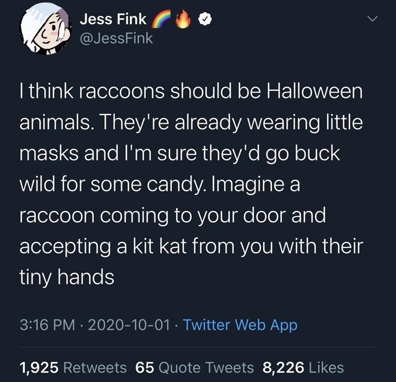 racoon halloween