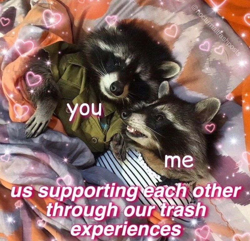 supporting-each-other-through-our-trash-experiences
