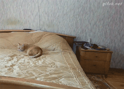 alarm didnt go off