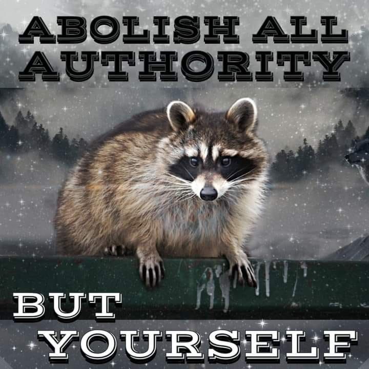 raccoon-abolish-all-authority-but-yourself