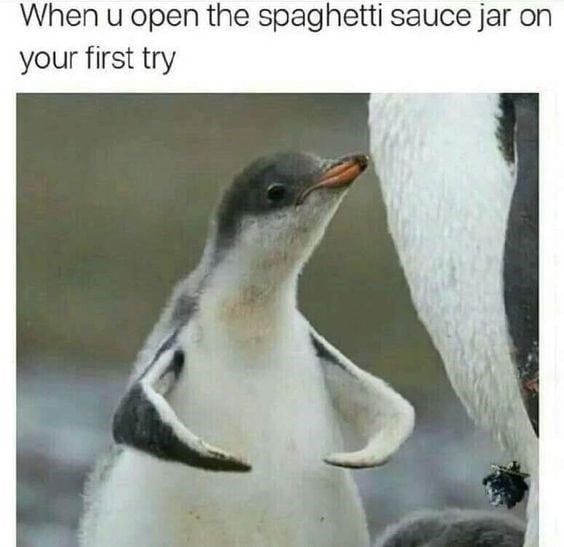 bird-u-open-spaghetti-sauce-jar-on-first-try