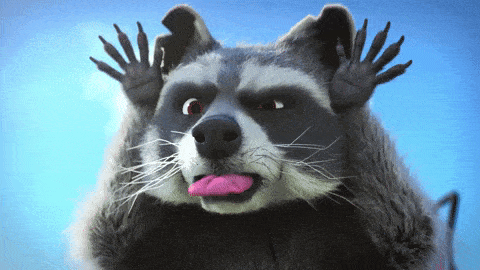 racoon-gif-1