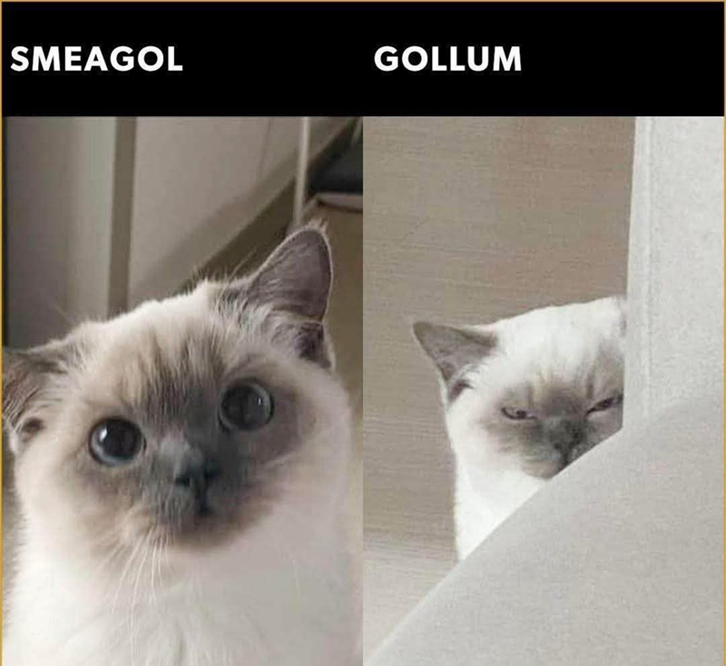 smeagol-gollum