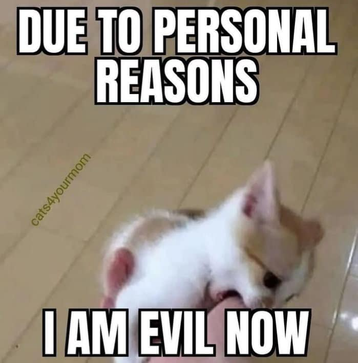 due-personal-reasons-cats4yourmom-am-evil-now