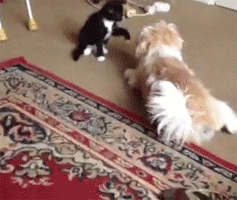 well trained