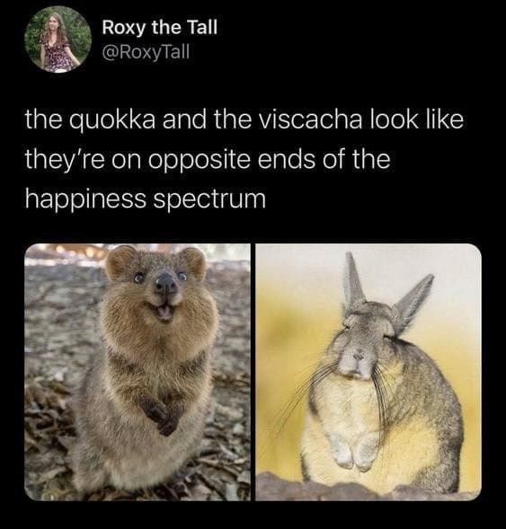 opposite-ends-happiness-spectrum