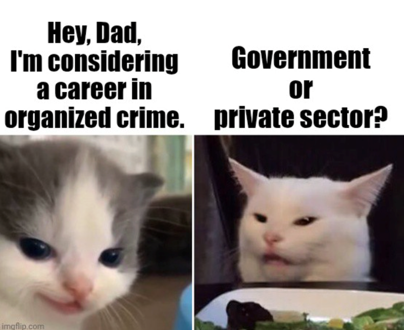 hey-dad-considering-career-government-or-organized-crime-private-sector-imgflipcom