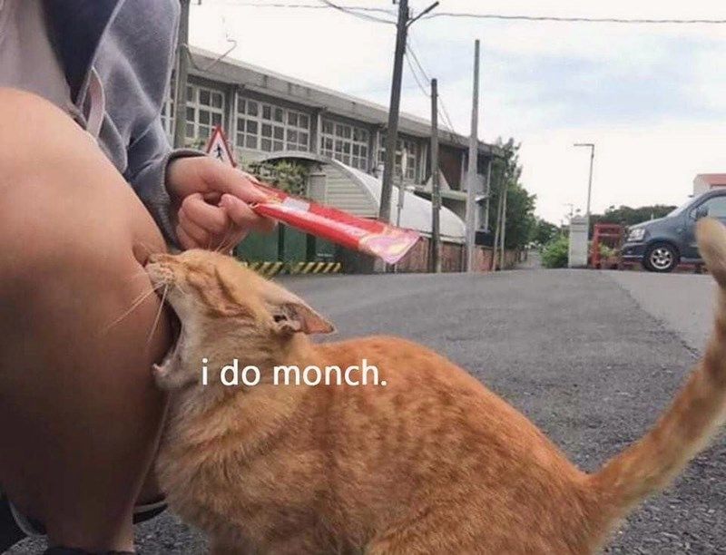 do-monch