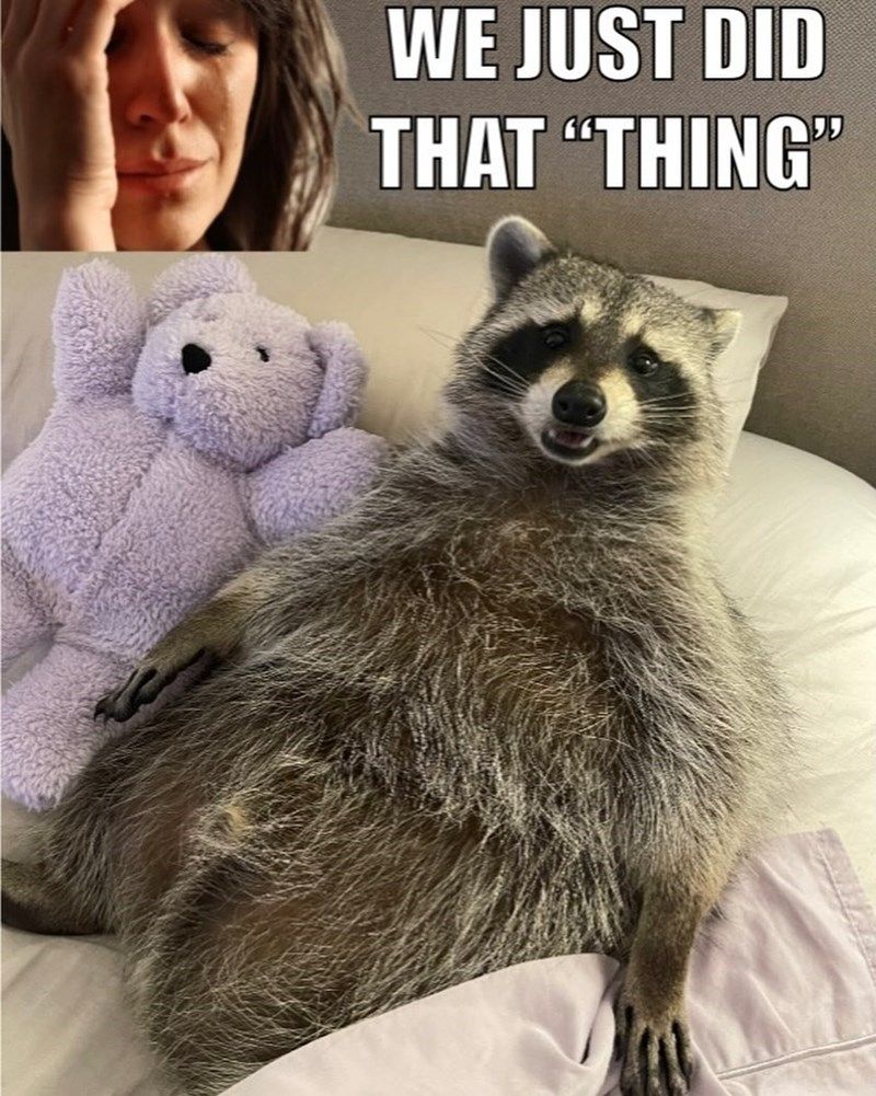 just-did-thing
